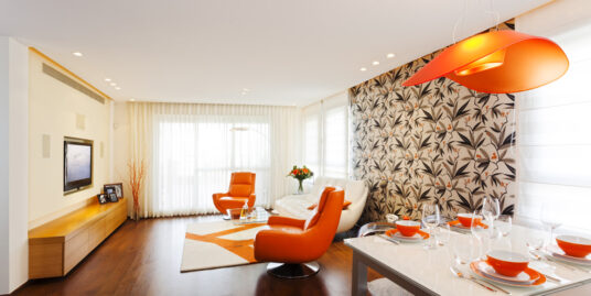 Luxury Apartment
